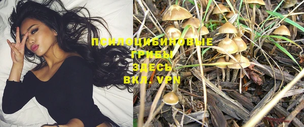 ГАЛЛЮЦИНОГЕННЫЕ ГРИБЫ Баксан