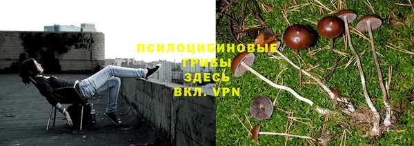 марки lsd Алексин