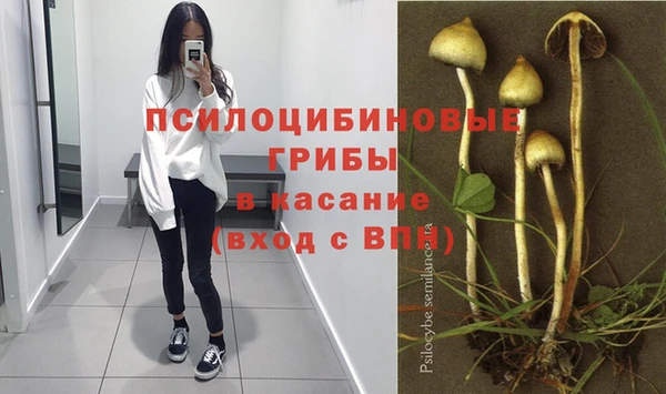 трава Балабаново